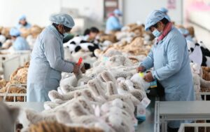 Tác động của thuế quan đối với ngành xuất khẩu của Trung Quốc